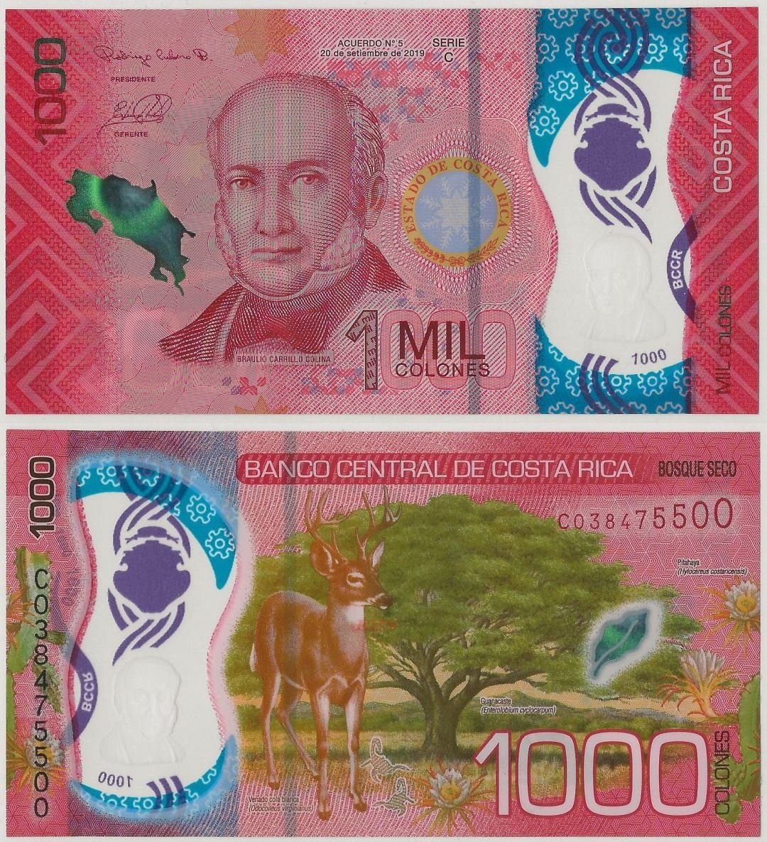Paper Money Costa Rica 1990's  5 Colones Banknote Foreign World Banknotes Collection Paper Money.gifts for him. UNC